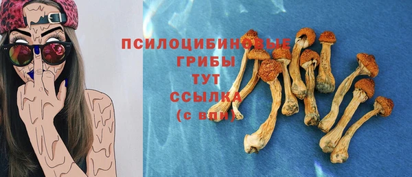 молекула духа Армянск
