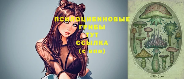 молекула духа Армянск